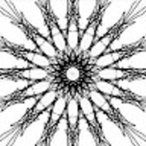 Meet your Posher, Ann